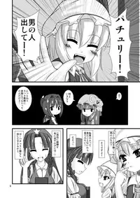 (C79) [Endless Requiem (yasha)] Touhou do-M Hoihoi ~Flandre Hen~ (Touhou Project)