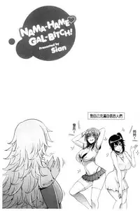 [Sian] Namahame Gals Bitch! [Chinese]