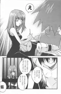 (C58) [System-SK (Morisawa Nanami)] Shamanic Kingdom (Shaman King)