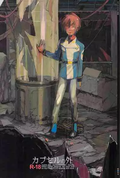 [NEO-de (Natsuzaka)] Tadashii Hito (Gundam Seed Destiny) [Chinese]