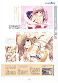 LOVELY CATION 1&2 VISUAL FAN BOOK