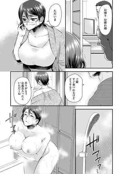 Beit Saki no Jimi na Kyonyuu Oba-san