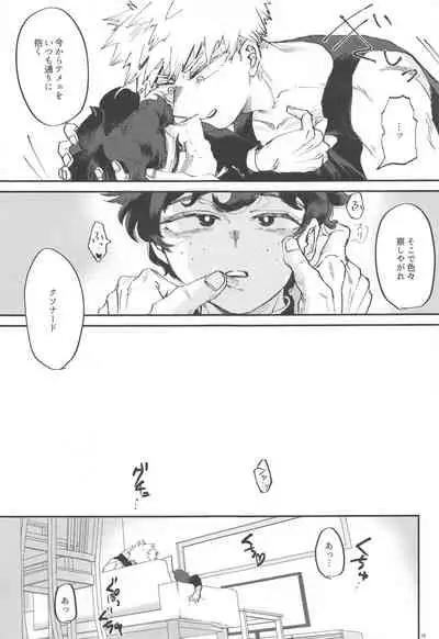 Itoshi no Mukosei
