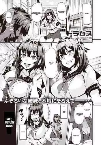 触手魔女の魔法世界