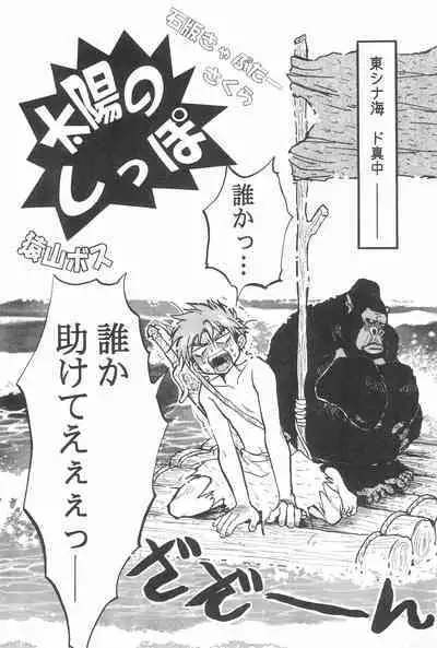 Taiyou no Shippo