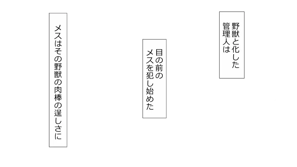 Makoto ni Zannen nagara Anata no Kanojo wa Netoraremashita. Zengohen Set
