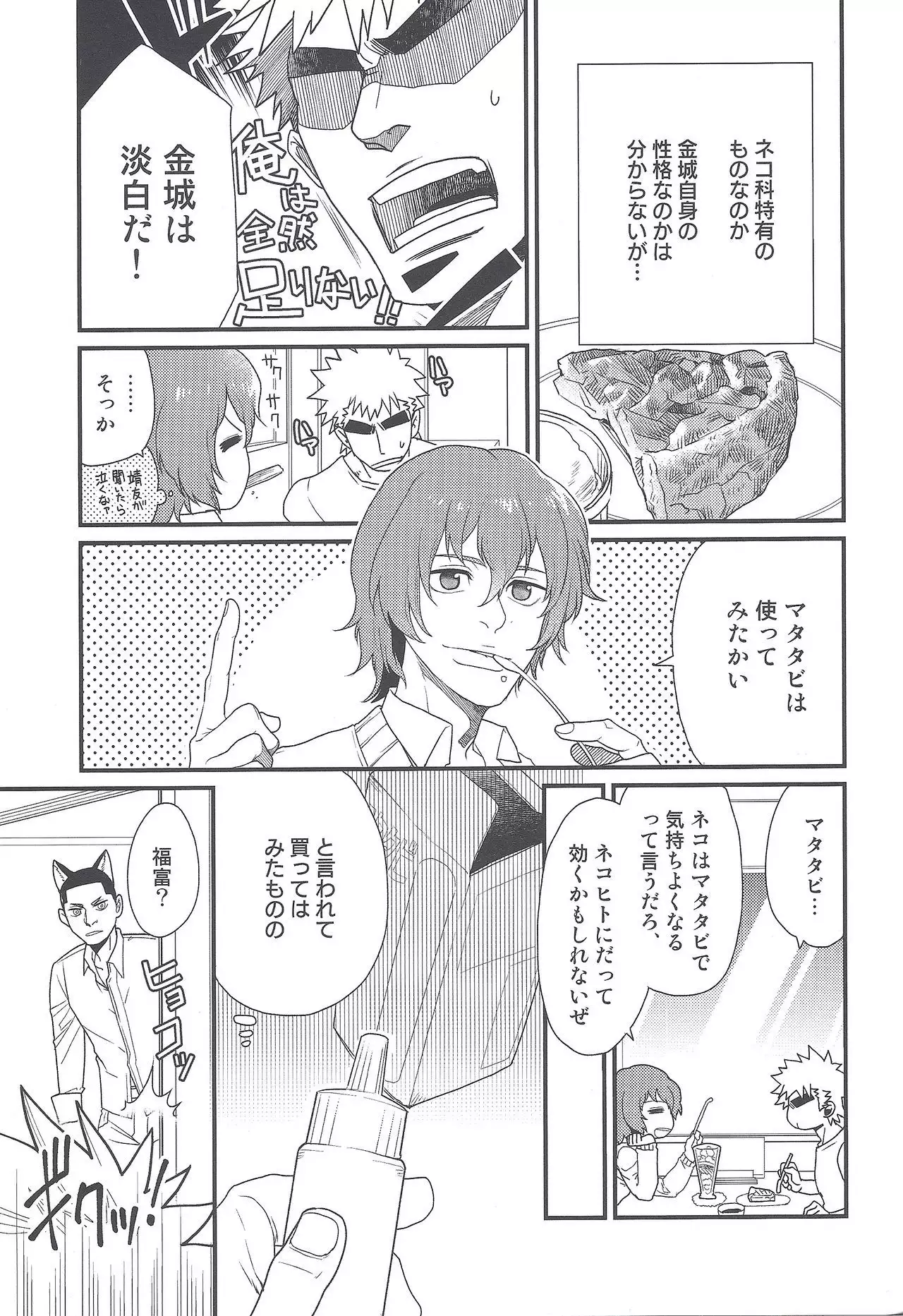Shippo no Kimochi