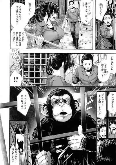 Shikoyakanaru Toki mo Hameru Toki mo