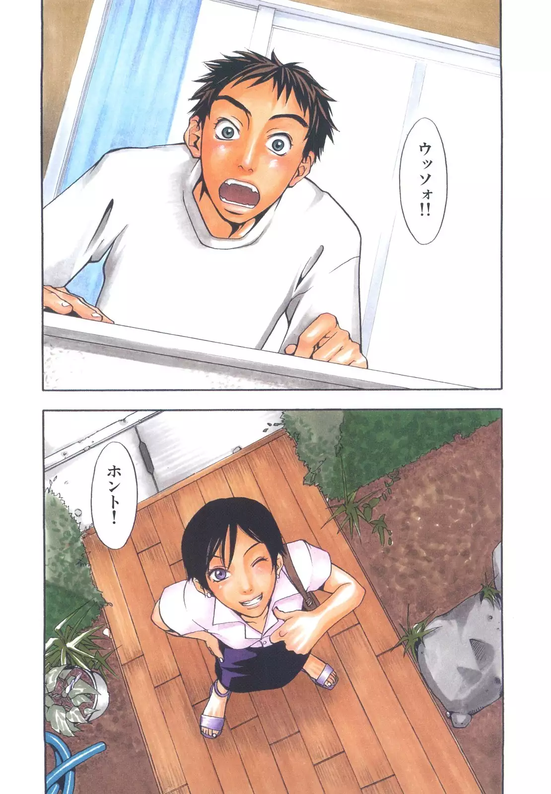Ever Green Shinsouban