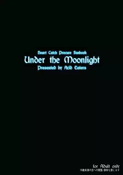Under the Moonlight