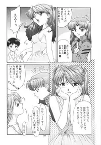 (C51) [Chimatsuriya Honpo (Various)] FSB (Neon Genesis Evangelion)