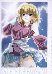 (C68) [FANTASY WIND (Shinano Yura)] satisfy (Gundam SEED DESTINY)