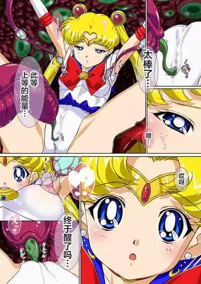 Sailor Moon Chu!