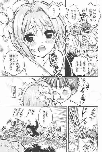 Taiyou no Shippo