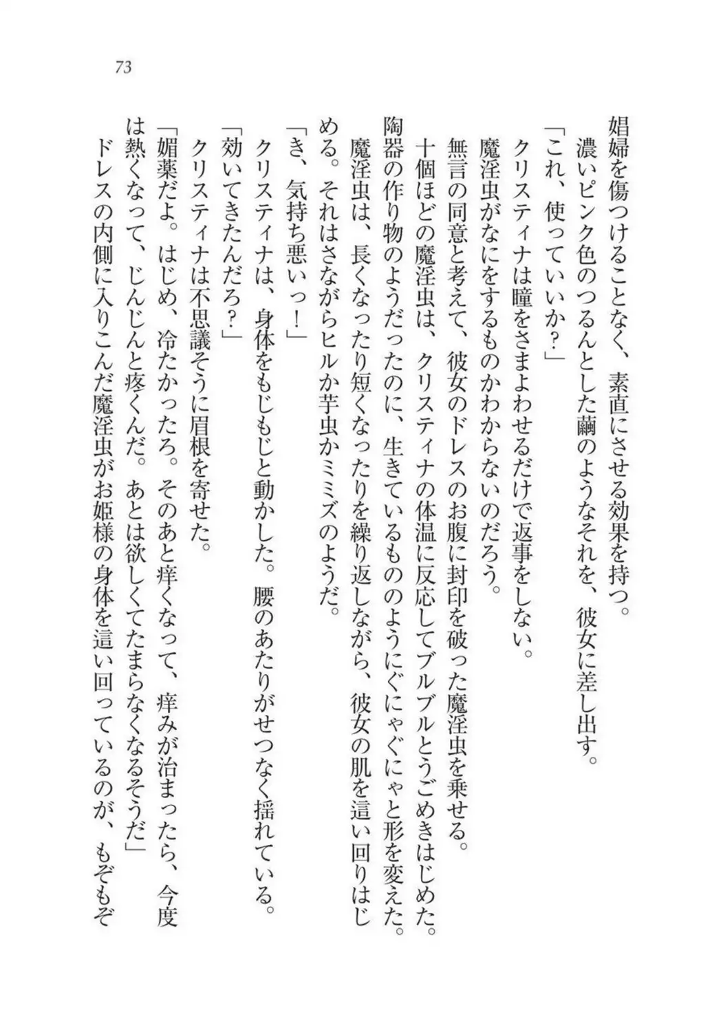 Christina Senki Houshi no Himekishi to Kokkyou no Shounin