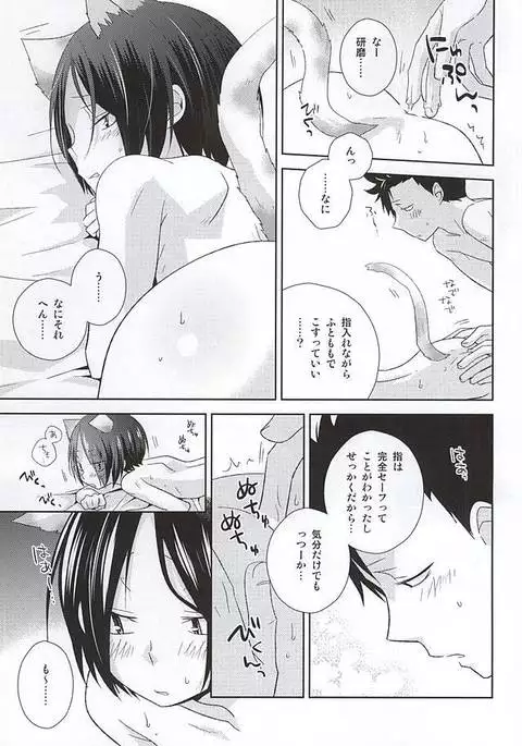 Neko Otoko Ichizoku no Koubi Report