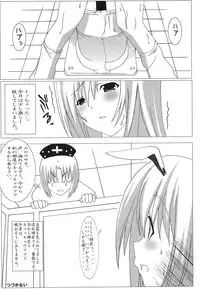 (C70) [Mirabilien Fabrik (Various)] Shoujo Yousai Rengashuu Touhou Inreika (Touhou Project)