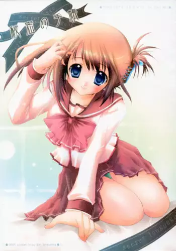 [N,s Apple] Himitsu no Hako (ToHeart2)