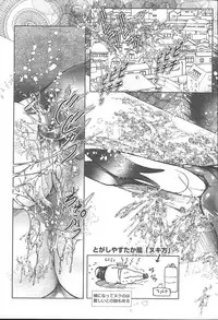 COMIC MUGA [2004-11] Vol. 15