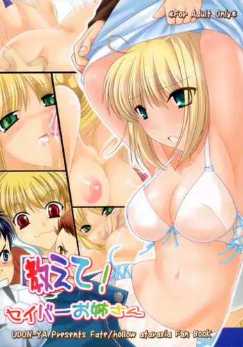 (C70) [UDON-YA (Kizuki Aruchu, ZAN)] BLACK 99% (Fate/hollow ataraxia) [Chinese] [99ert漢化]
