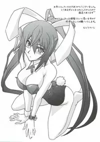 (Tora Matsuri 2015) [STUDIO TRIUMPH (Mutou Keiji)] Astral Bout SP02 (IS <Infinite Stratos>)