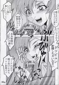 [St. Rio (Kitty, Kouenji Rei)] COSMIC BREED 5 (Gundam SEED DESTINY)