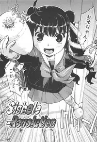 [Akishima Shun] Sister's HARA-MIX