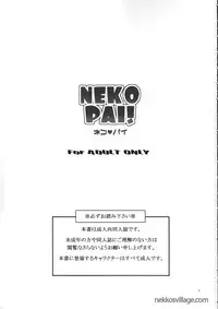 (C72) [AZA+ (Yoshimune)] NEKOPAI! (Final Fantasy XI) [English]
