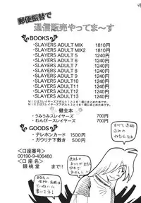 [Ginmomodou (Mita Satomi)] SLAYERS ADULT 13 (Slayers) [Digital]