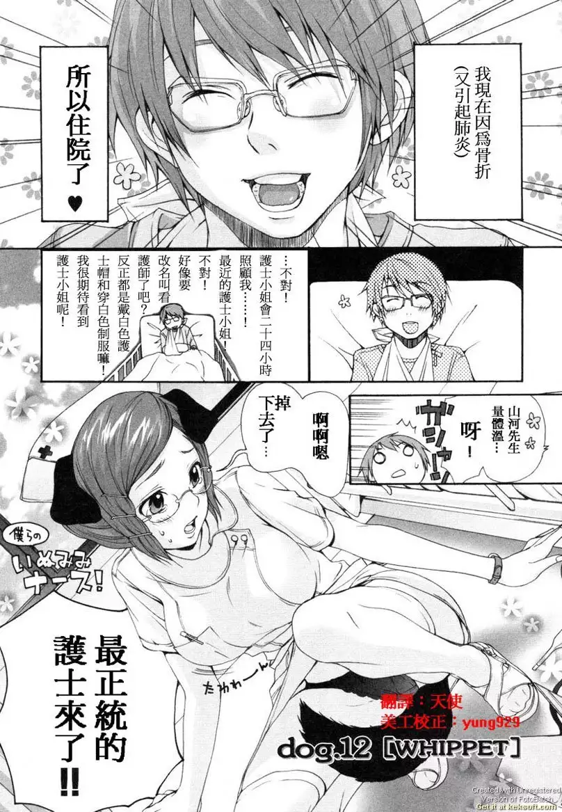 Inumimi Zukan