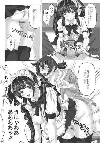Ashikokisky