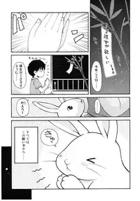 COMIC RiN 2006-08 Vol. 20