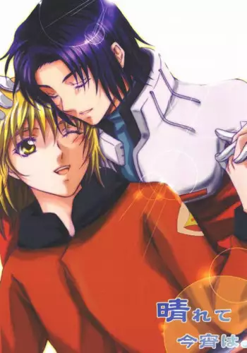 (C73) [NiseMIDIdoronokai (Ishikei)] CampbellJuice (Gundam SEED Destiny)