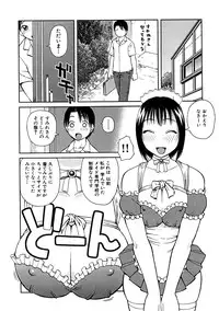 [Kiai Neko] Kowaremono