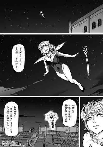 Chikara Aru Succubus wa Seiyoku o Mitashitai dake. 12