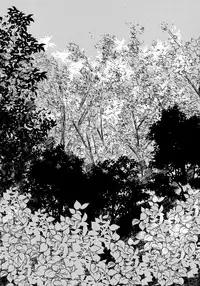 (C93) [Carbonate (Soda)] Chronology (Naruto)