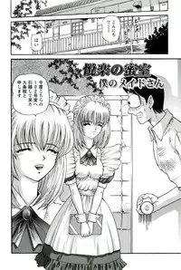 [SHION] Etsuraku no Misshitsu