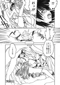 COMIC RiN 2005-09 Vol. 9