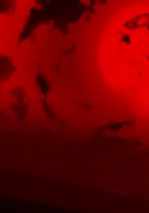 Tsui no Sora Remake