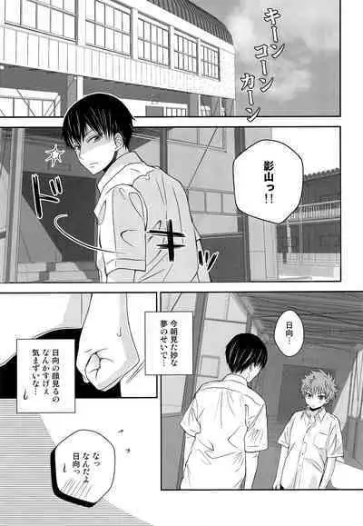 (SUPER COMIC CITY 23) [puniiyu] Hinata to Koi ni Ochiru Made— (Haikyuu!!)