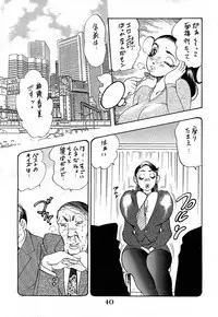 [Bijogi Junction (Bijogi Junction)] Hime Sakunyuu