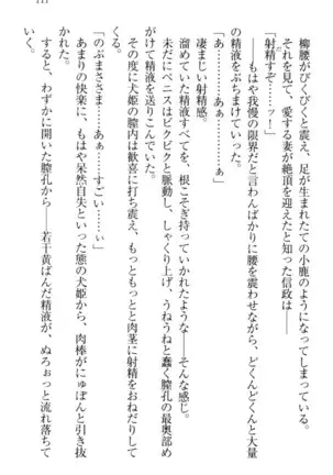 戦国犬姫！