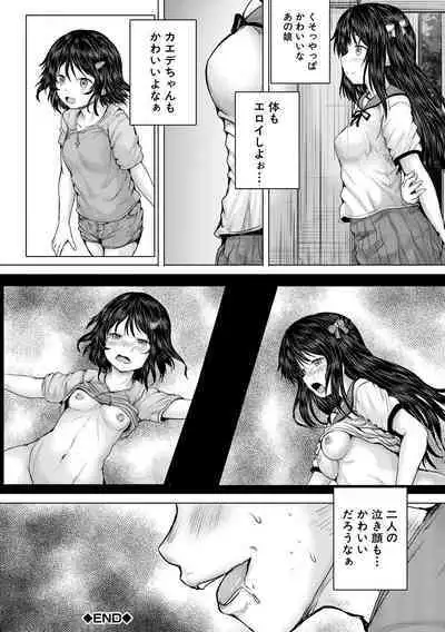 Naku Hodo Kimochi Ii Rape shite Ageru