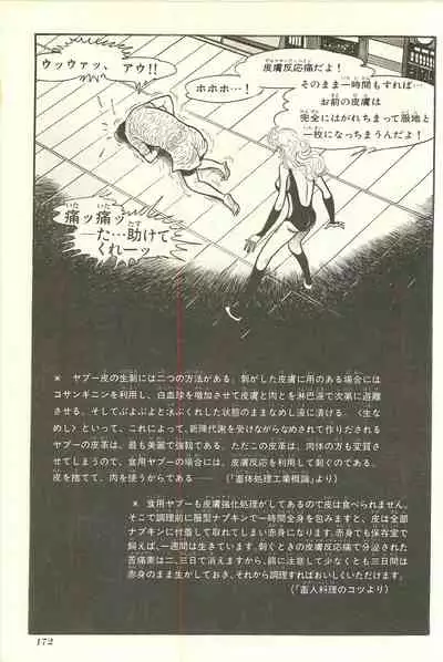 Gekiga Yapoo Shoutai