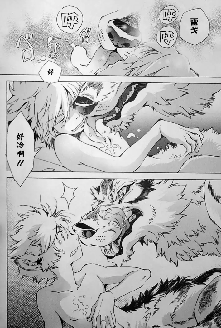 THE WILD LEG wolf