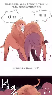[Rozer] 我统治的世界(A World that I Rule) Ch.1-16 [Chinese]