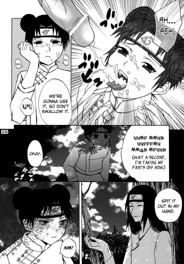 Ninja Girl's Diary - "Tenten"