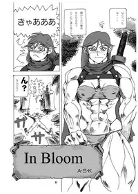 [Arsenothelus (Rebis)] TGWOA Vol.8