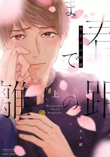 Kaguya-sama wa 見栄っ張り