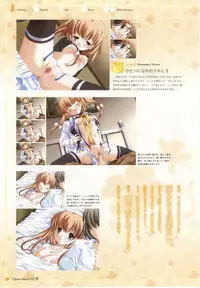 clover heart's visual fan book
